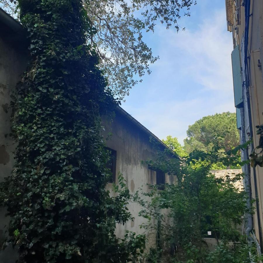 Appartement Intra Muros 8 Personnes Climatise Wifi Stationnement Facile Avignon Exteriör bild